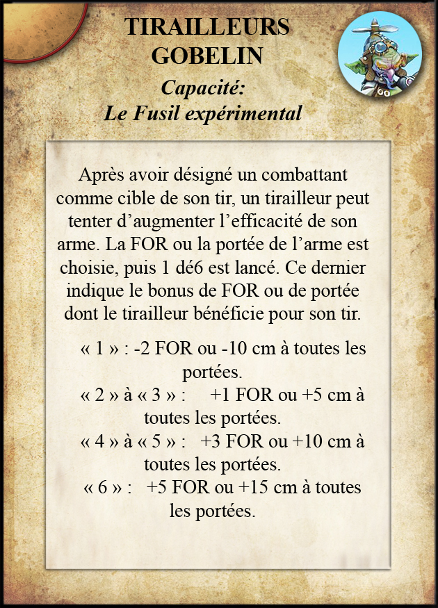 Fusil Expérimental